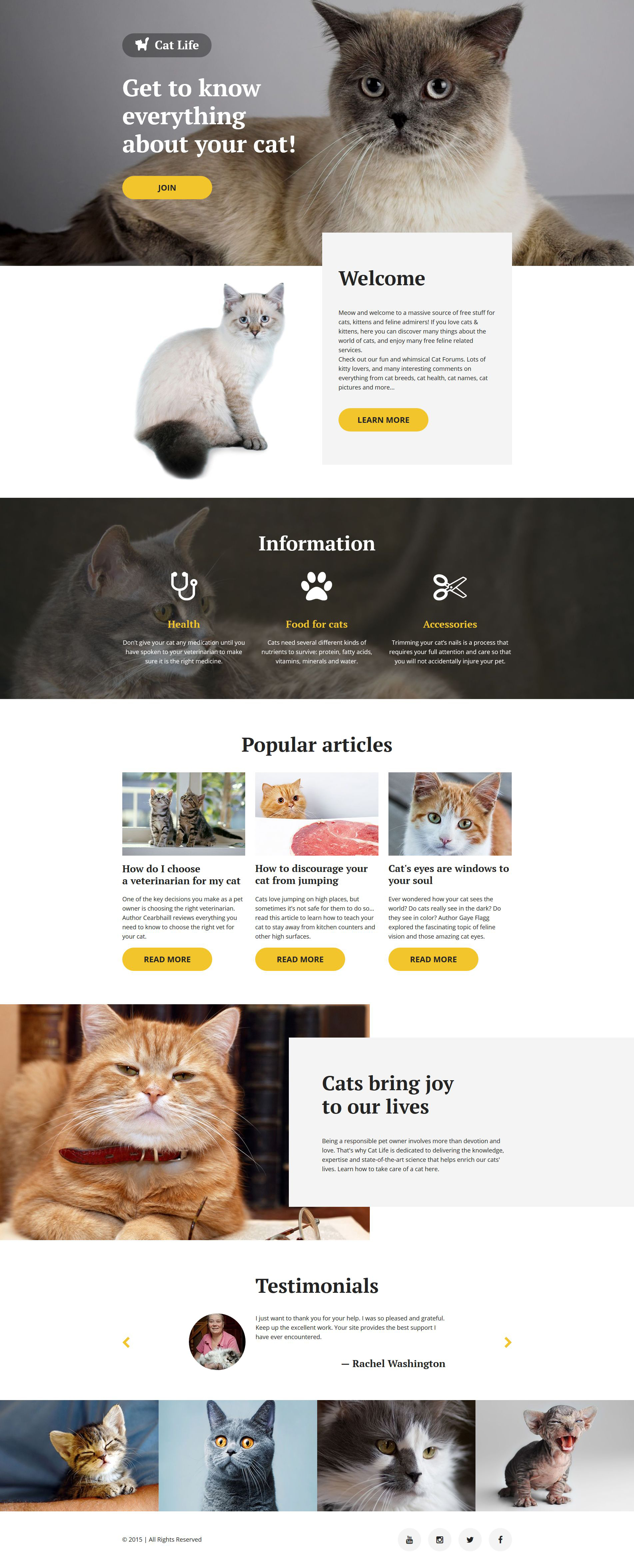 Cat Template Responsive Landing Page Template