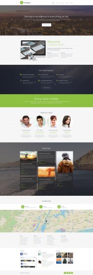 Web Development Template Responsive Website Template