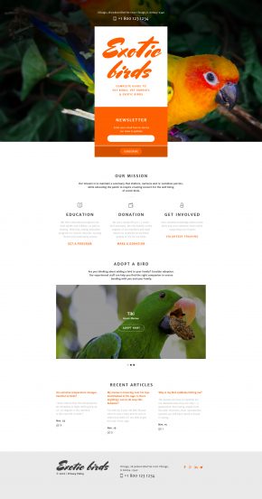 Birds Template Responsive Landing Page Template