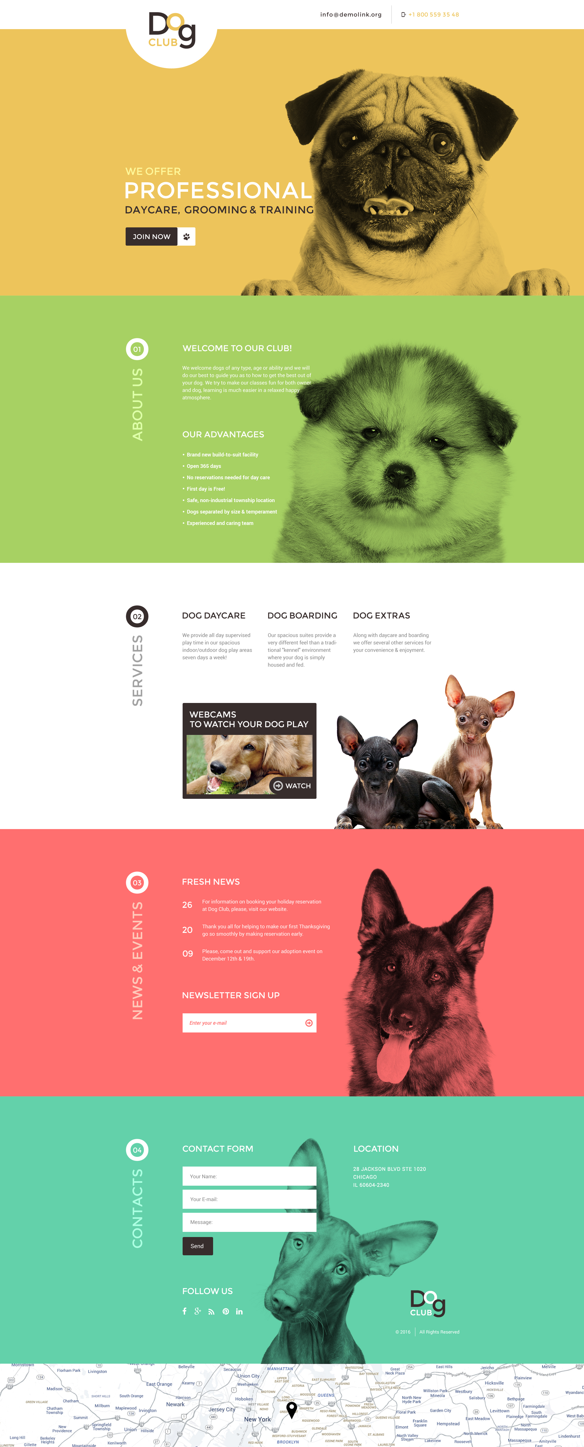 Dog Template Responsive Landing Page Template