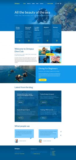 Diving Template Responsive Website Template