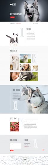 Canine Landing Page Template