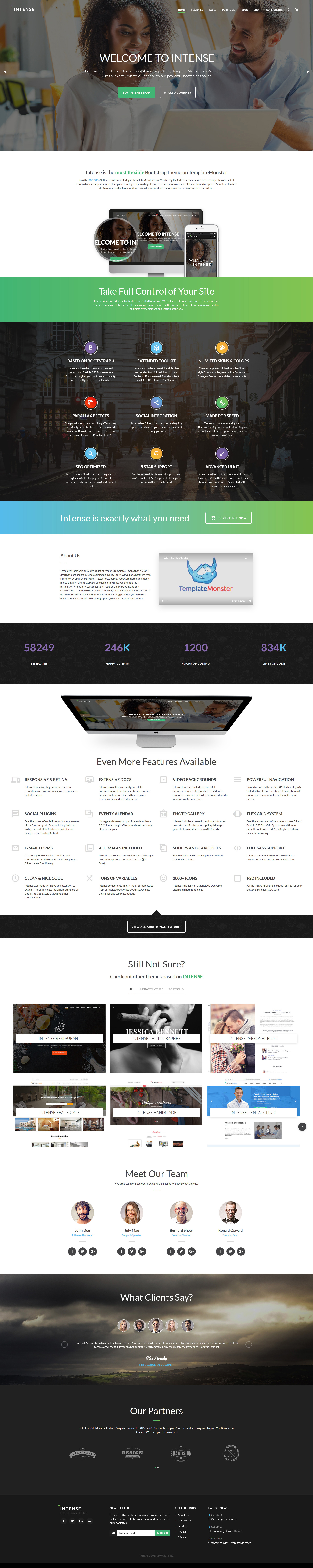 Intense Multipurpose Website Template