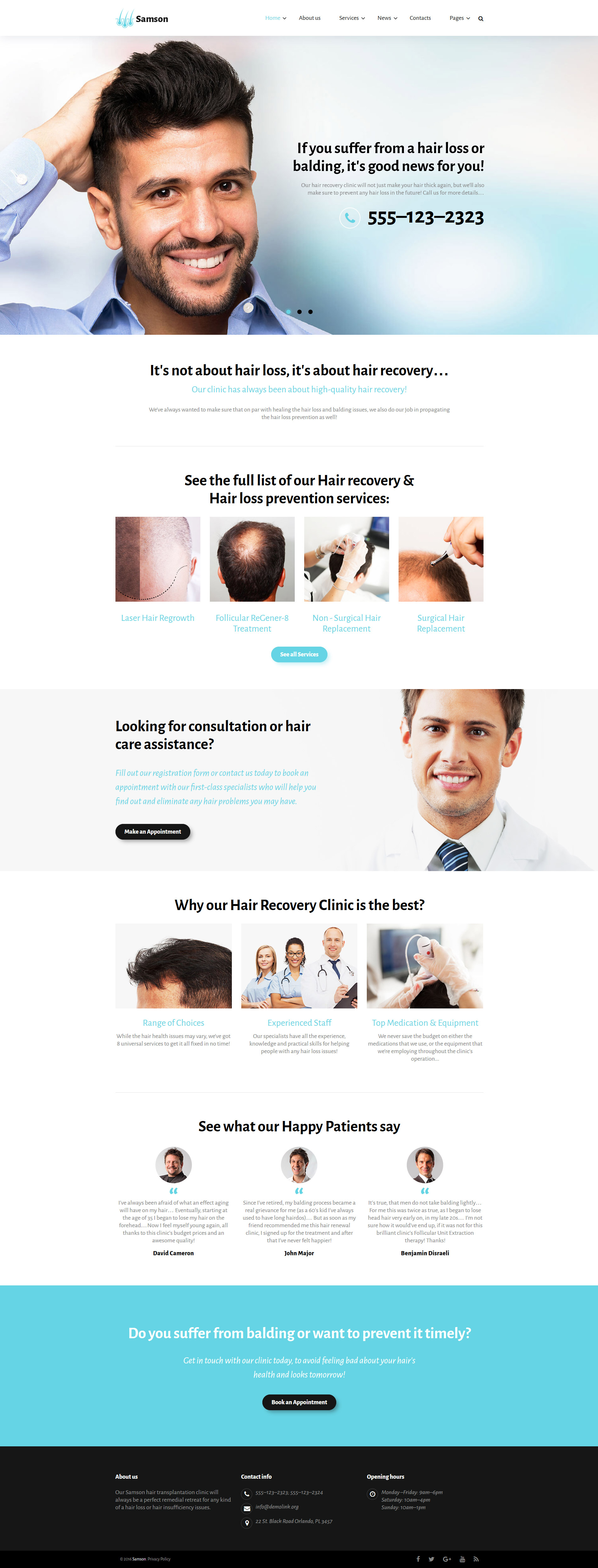 Samson Website Template