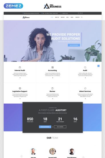 proBusiness - Elegant Audit Company Multipage HTML Website Template