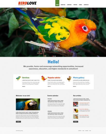 Birds Template Responsive Joomla Template