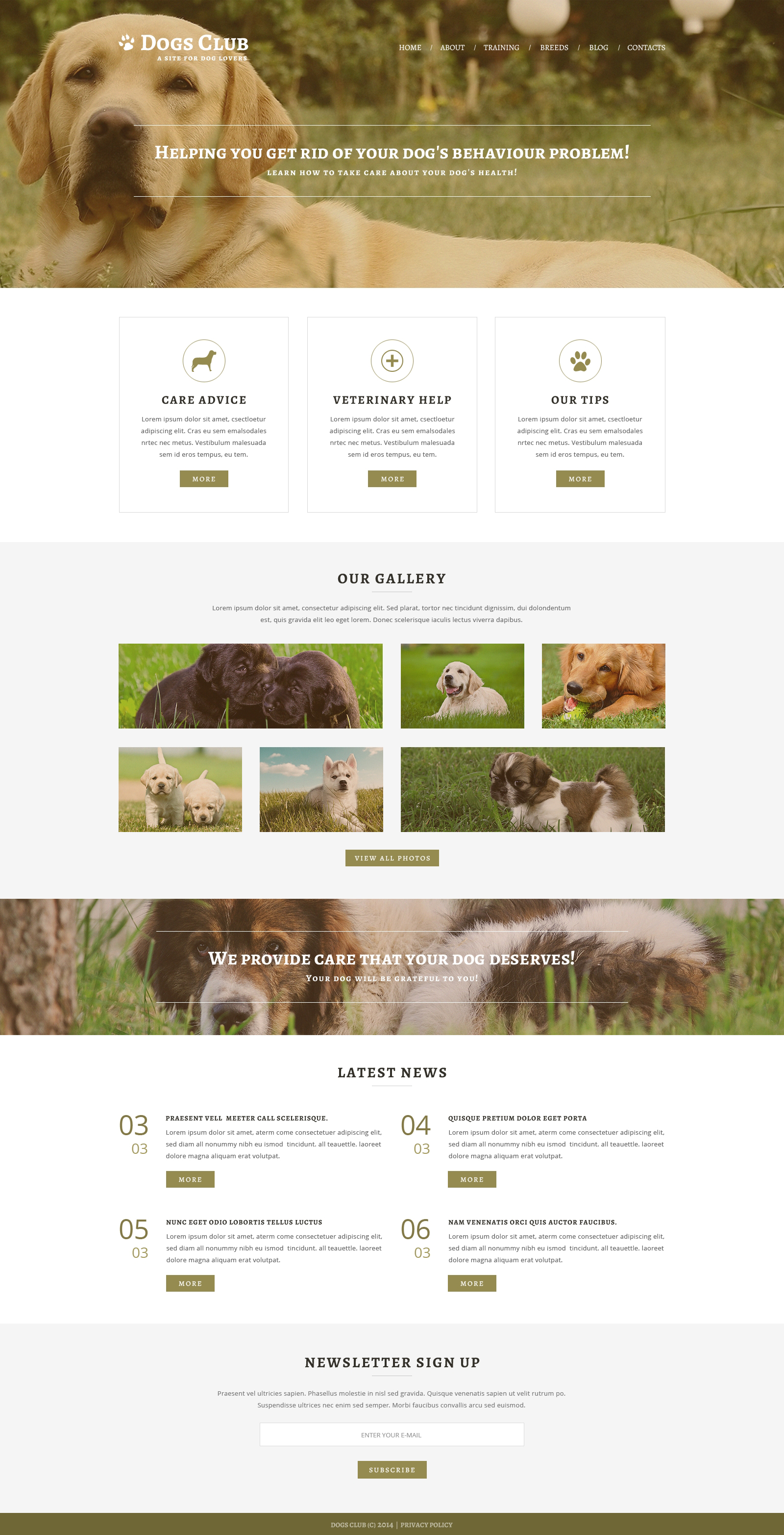 Animals  Pets Joomla Template