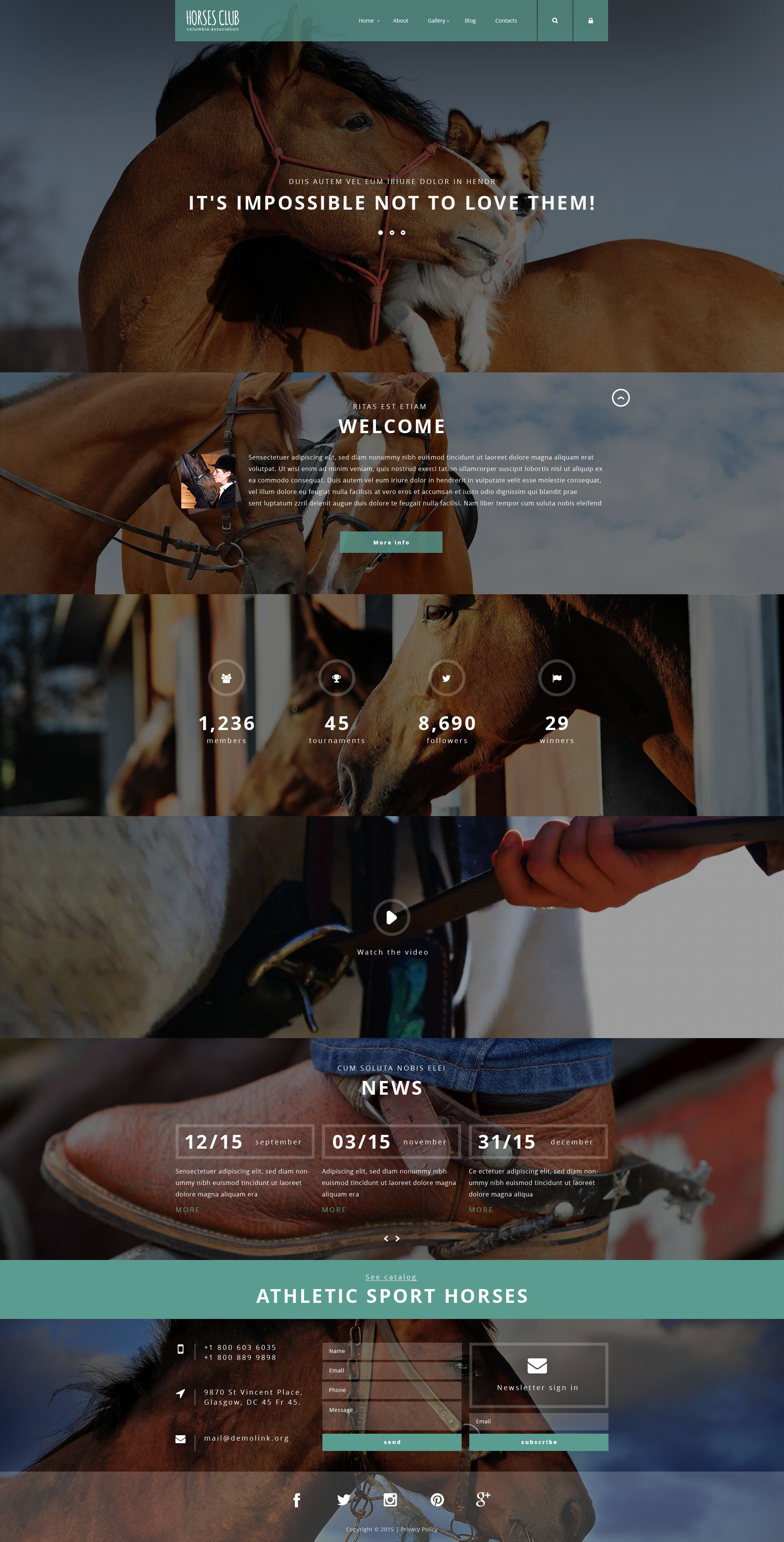 Horses Club Joomla Template