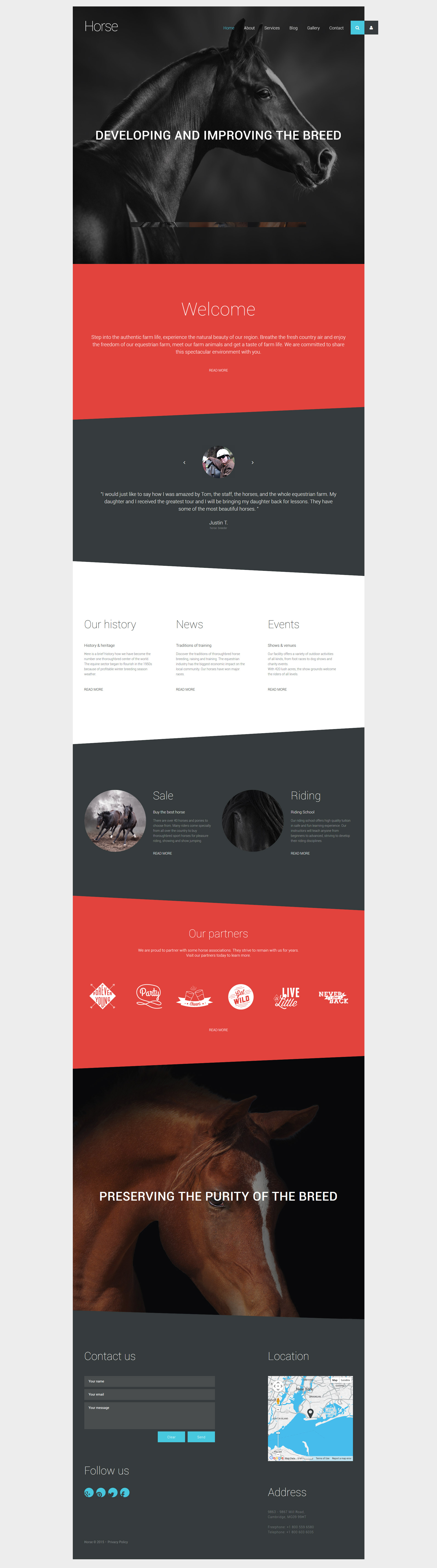 Horse Joomla Template