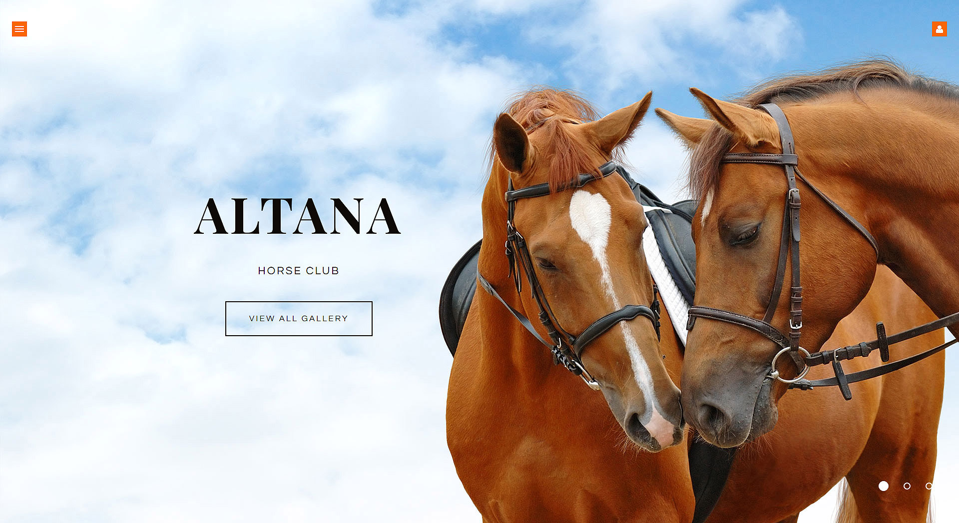 Horse Template Responsive Joomla Template