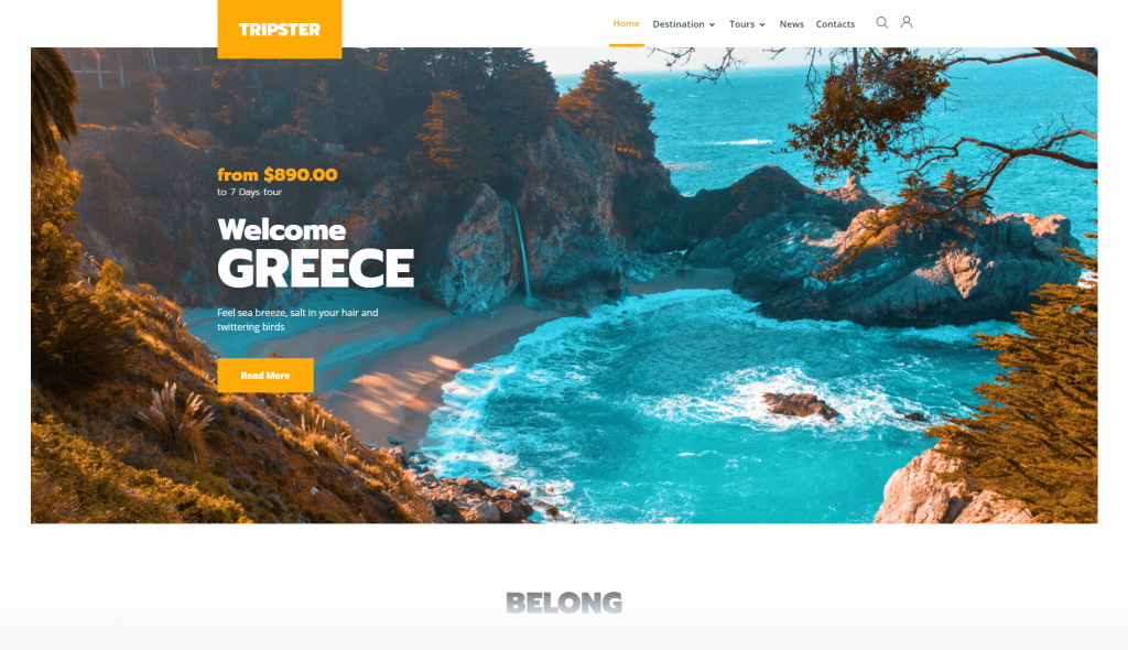 Agency WordPress Themes