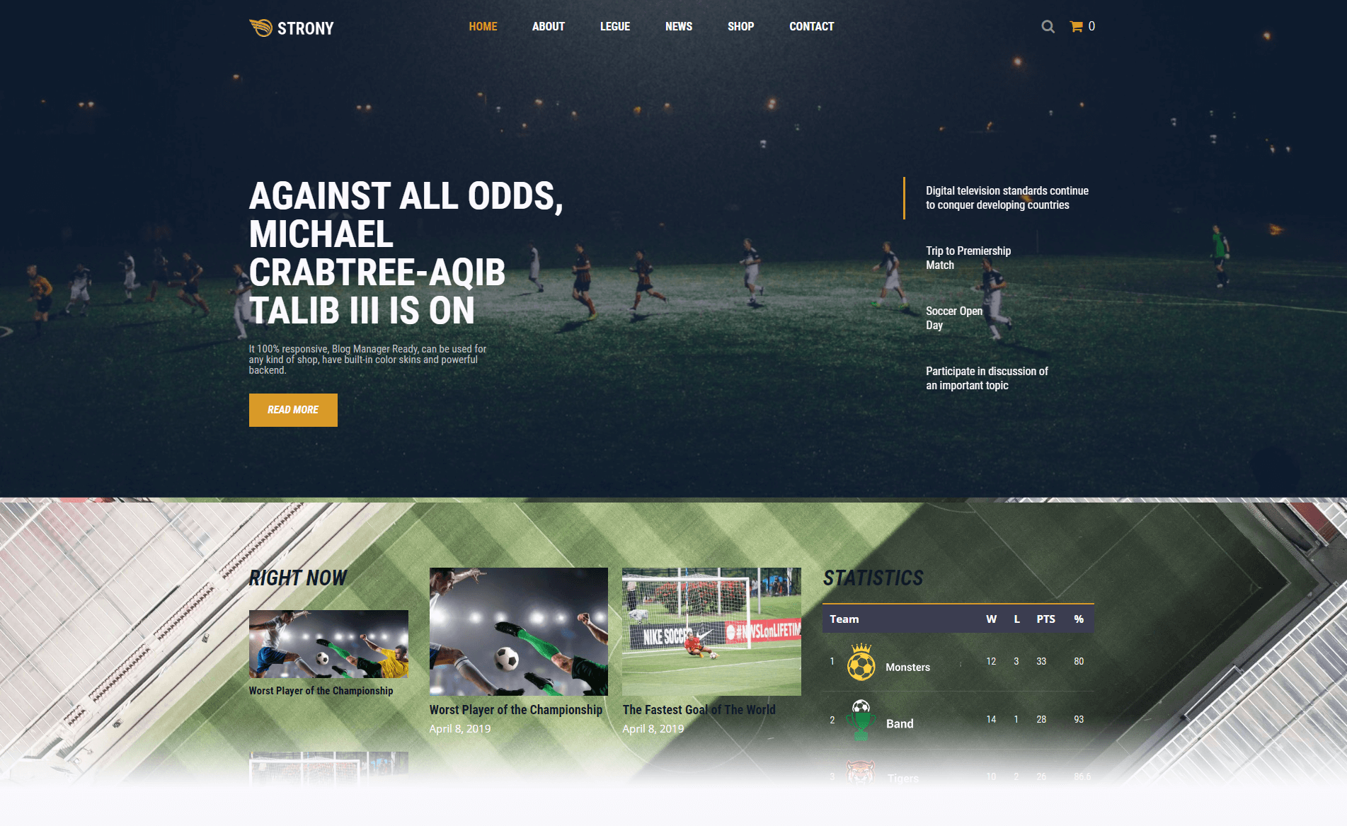 football wordpress themes