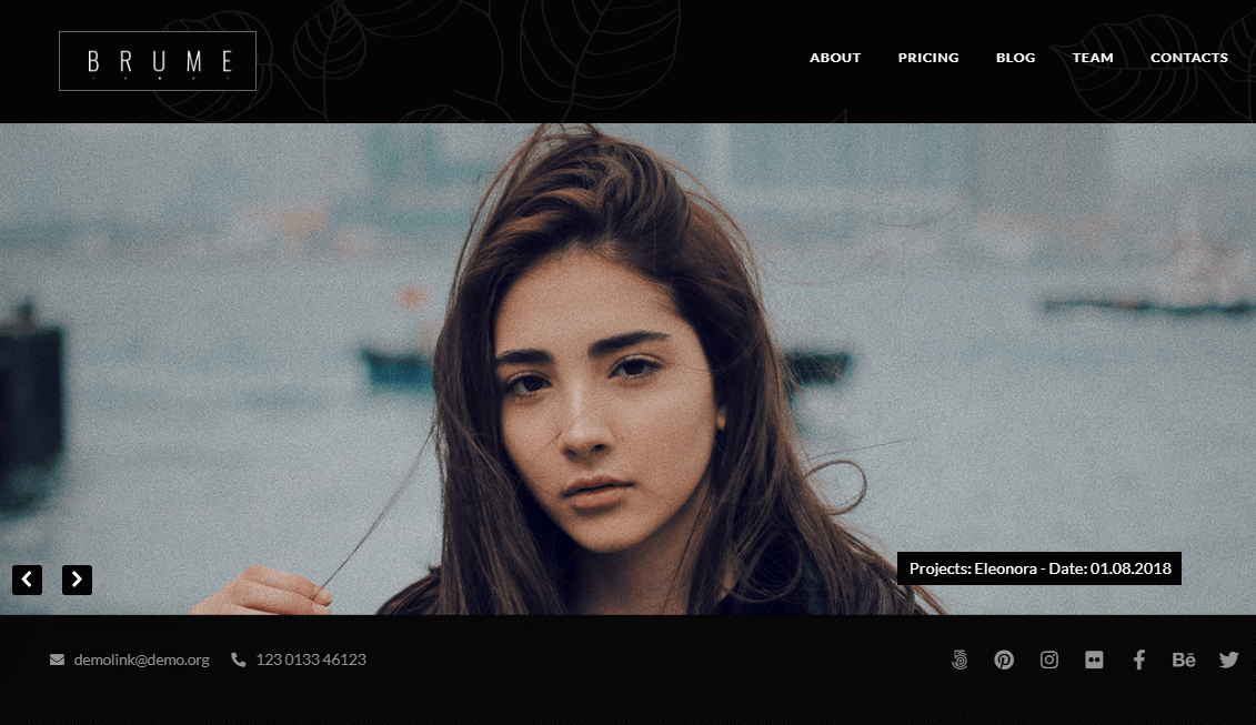 best gallery wordpress themes