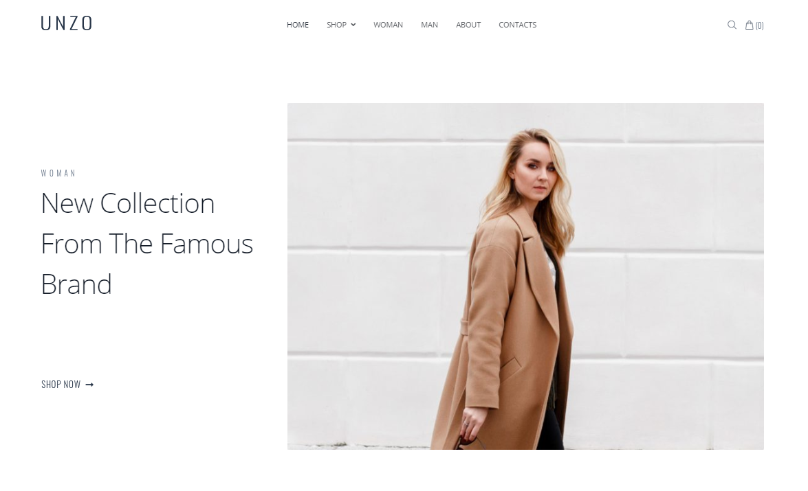 wordpress fashion ecommerce themes