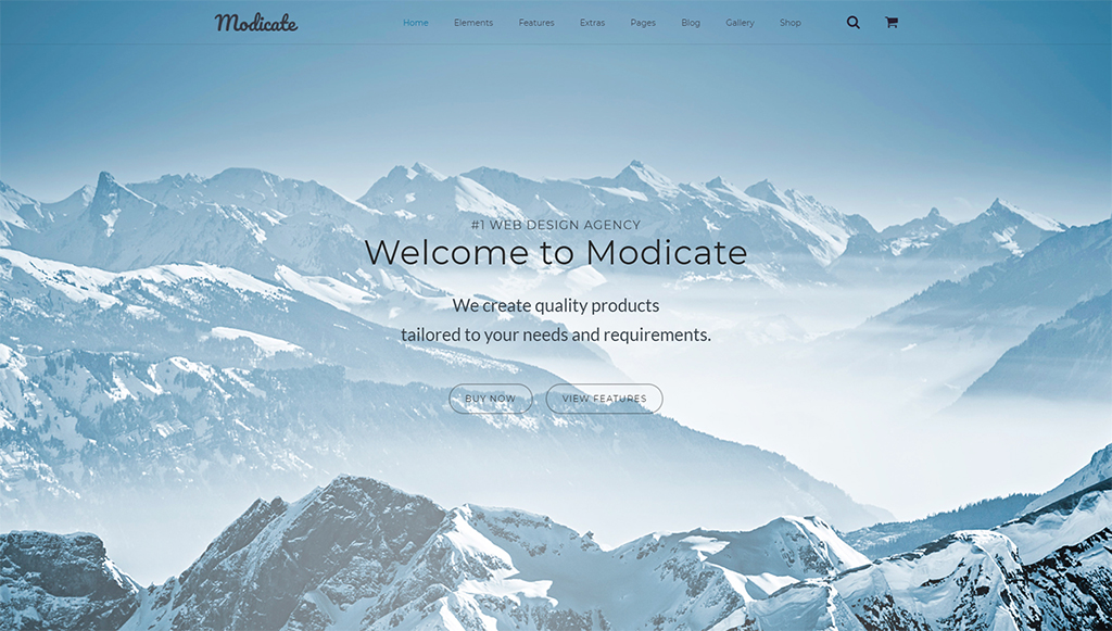 Modicate - Web Design Studio Website Template