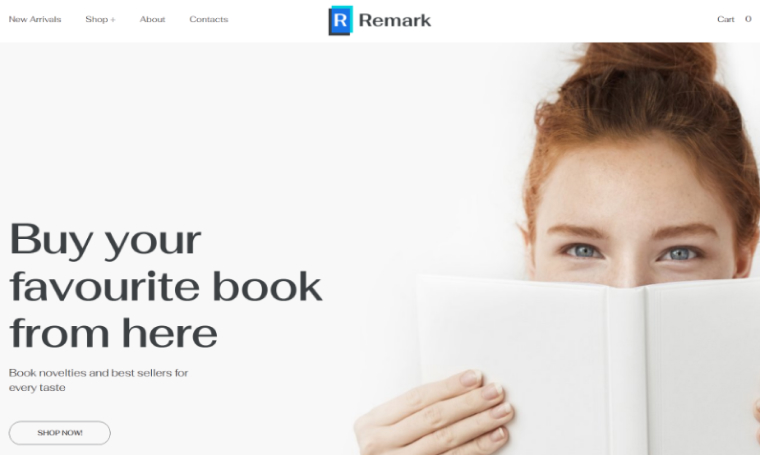 best-free-wordpress-theme-writers