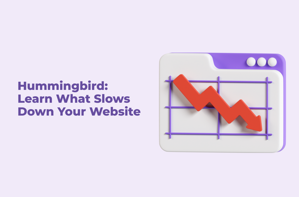 Why Hummingbird is Among WordPress Plugins to Supercharge Your Site
